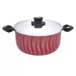 قدر تيفال السيف فلام مقاس 20