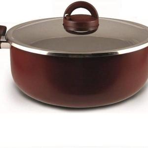 قدر تيفال السيف مقاس20